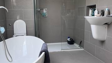 Shower, hair dryer, towels