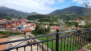 A balcony with a stone floor, a flower pot with pink flowers, and a view of a town with red-roofed buildings and green hills in the background. - La Rectoral Arriondas 2 (Arriondas)