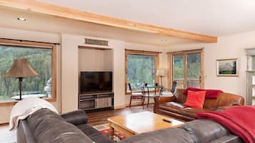 电视、壁炉、立体声音响