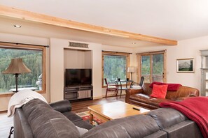 TV, caminetto, impianto stereo