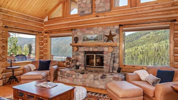 Televisión, chimenea, estéreo