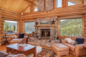 TV, fireplace, stereo