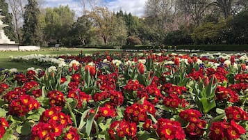 Jardines del alojamiento