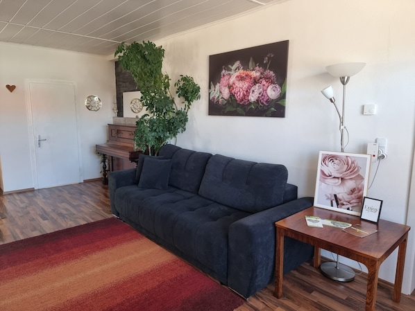 Un salon avec un canapé foncé, un tapis rouge et orange, une table basse en bois, une plante en pot, une horloge murale et un tableau floral encadré.