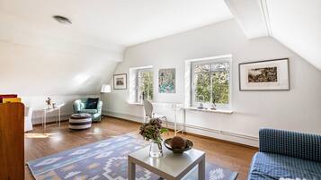 Télévision, cheminée, lecteur de DVD