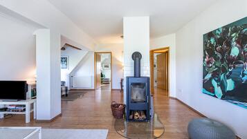 Fernseher, Kamin, DVD-Player