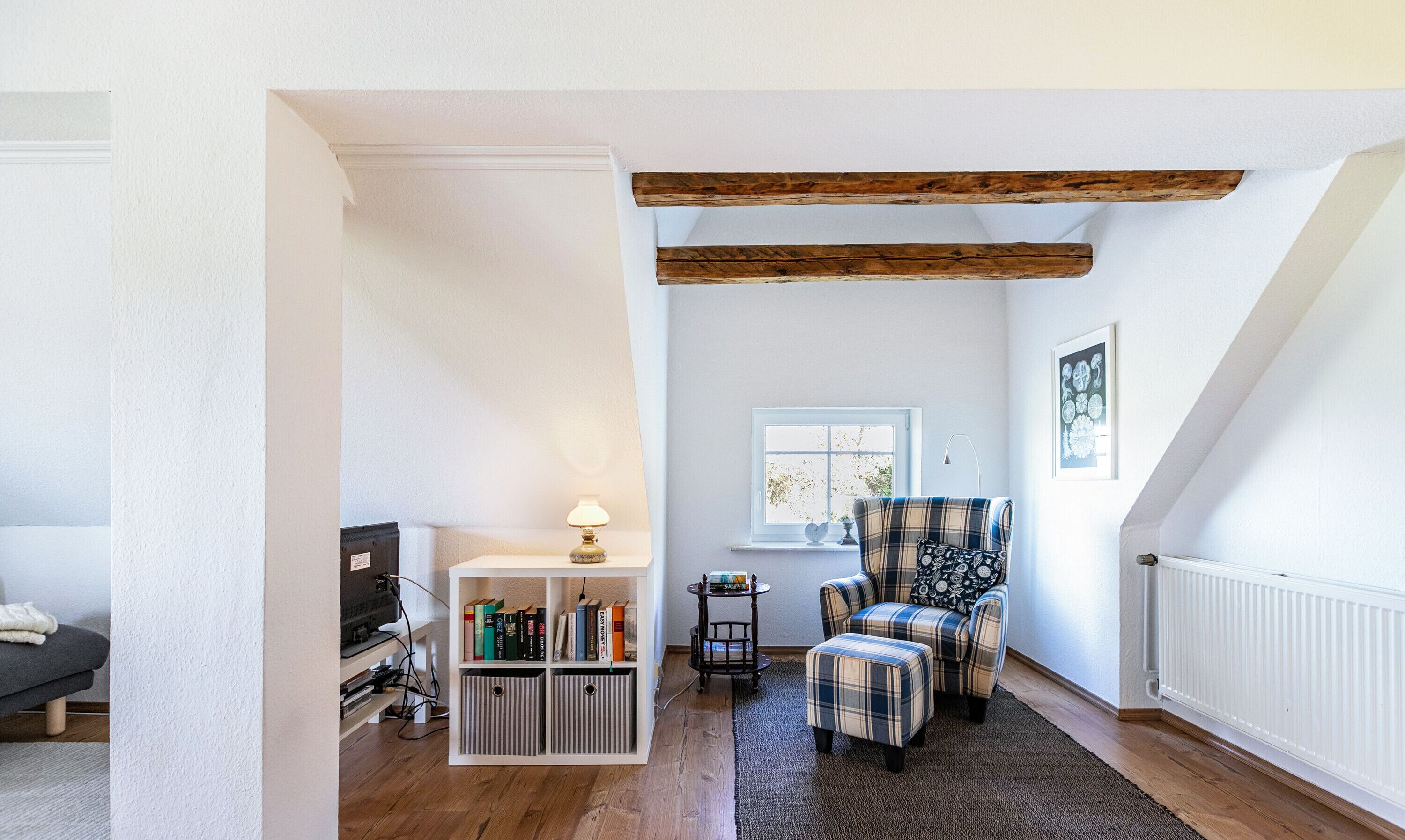 TV, peis og DVD-spiller