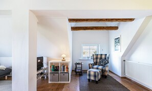 TV, fireplace, DVD player