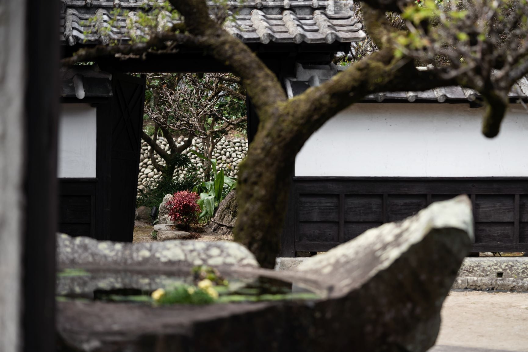 A traditional Japanese building with a tiled roof, a stone pathway, and a garden with rocks and plants.