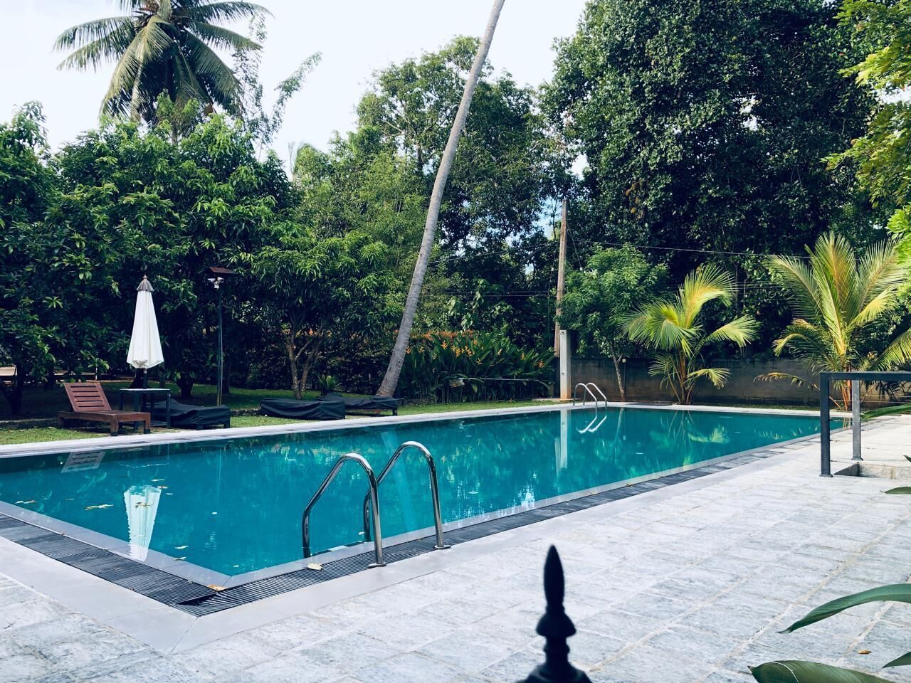 Une piscine dotée d’une terrasse carrelée, entourée d’une végétation luxuriante et de palmiers.