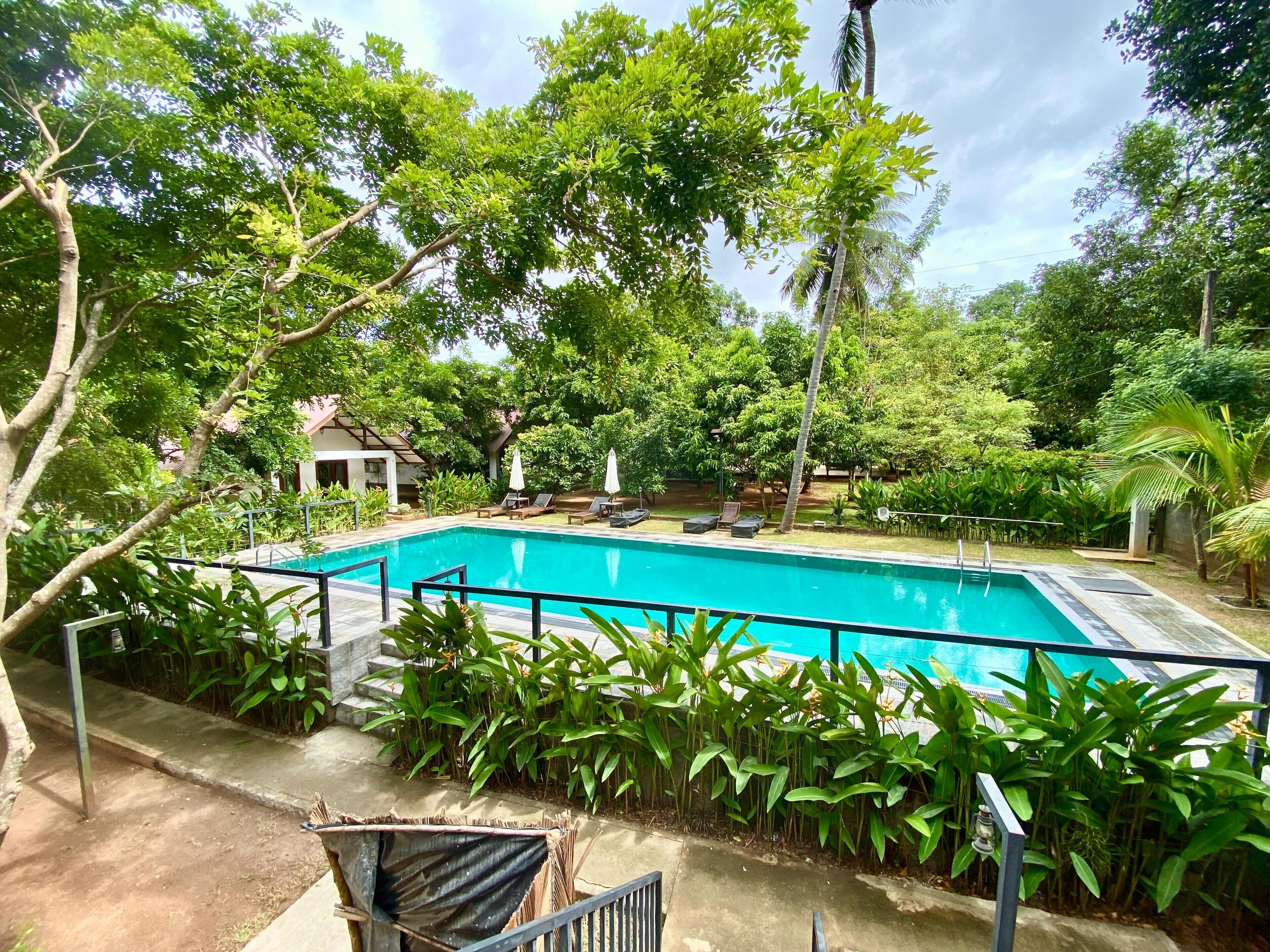 A rectangular swimming pool surrounded by lush greenery, with a small pavilion and lounge chairs in the background.