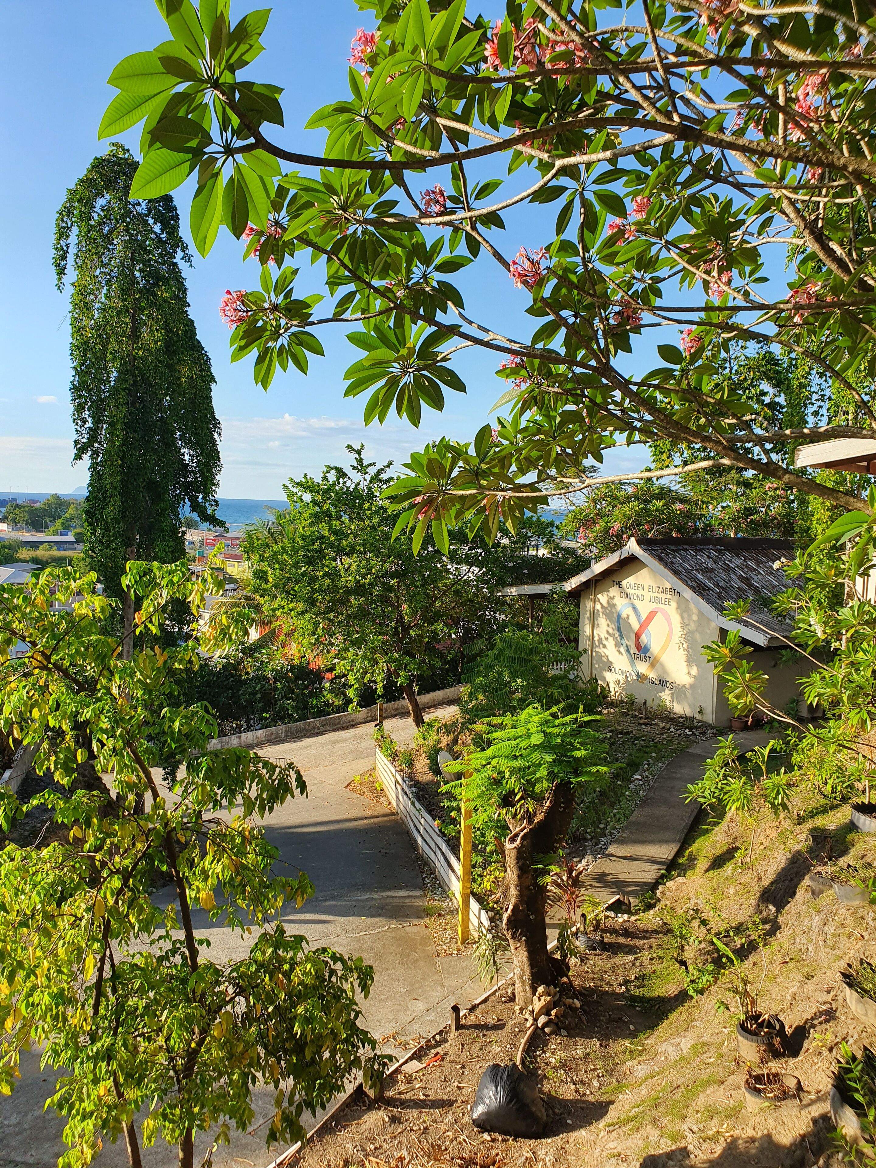 A garden with various plants and a building with a sign reading "The Queen Elizabeth Diamond Jubilee Trust".