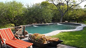 A swimming pool with a wooden deck, lounge chairs, and a large tree in the background.