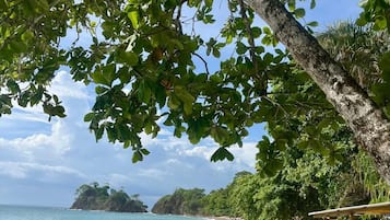 Ein Strand mit blauem Himmel, ruhiger See und einem von Bäumen gesäumten Pfad.