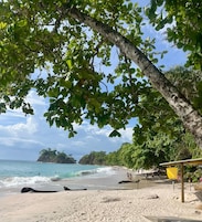 A beach with clear skies, calm sea, and a tree-lined path.