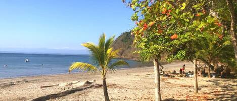 House, 3 Bedrooms, Smoking, Private Pool | Beach