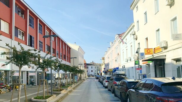 Une rue bordée de voitures garées et de bâtiments abritant des commerces.