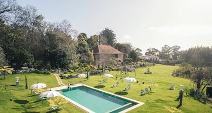 Villa Camelia Boutique House