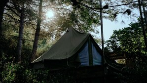 Een tent opgesteld in een bebost gebied, omringd door bomen.