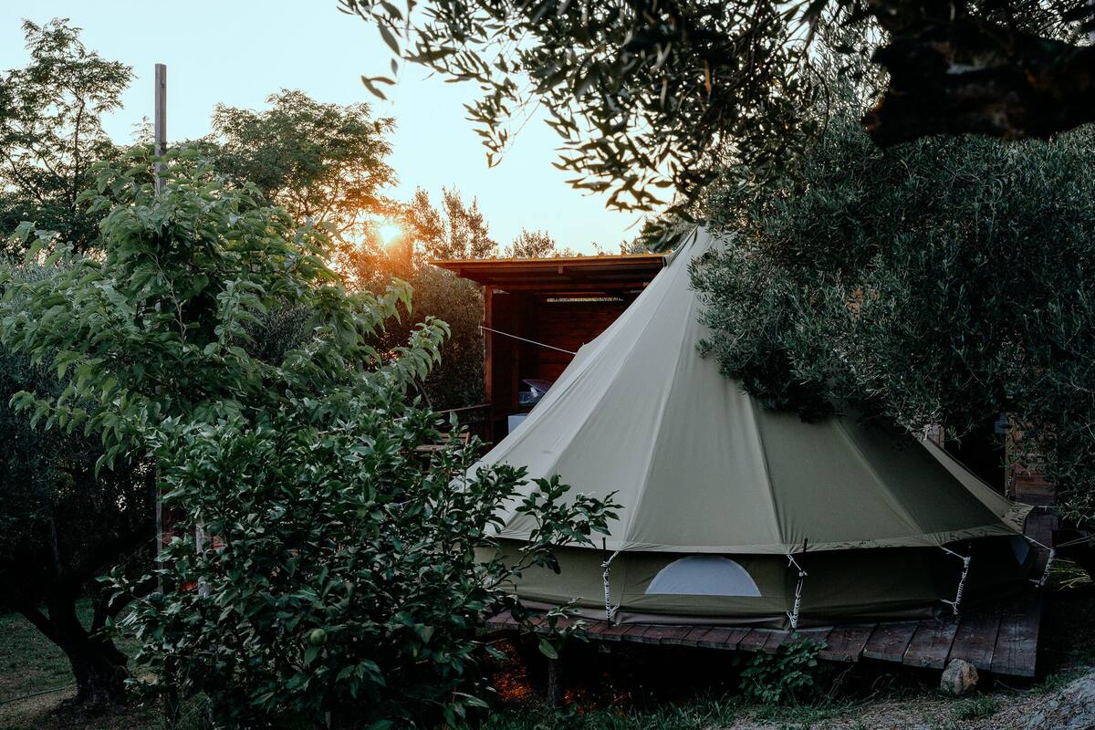 Une tente installée dans un jardin, avec une structure en bois en arrière-plan.