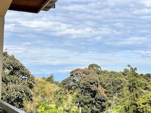 Property grounds - Exquisite fully furnished 2 bedroom 2 bath penthouse 5mins from city center (Kitale)
