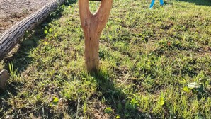Un cartel de madera con flechas que indican 'CA FEE' y 'CA CHOUETTE'.