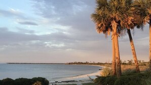Une vue sur la côte, avec une zone herbeuse, des palmiers et une plage.