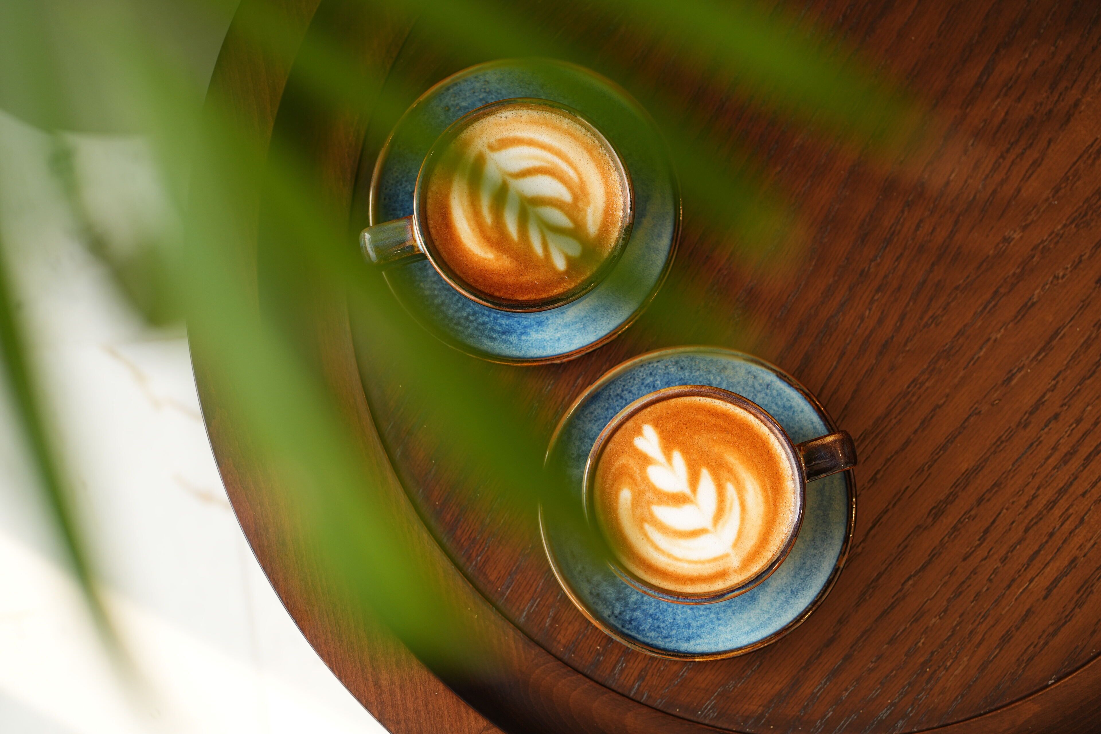 Photo - Novotel Jaipur Convention Centre