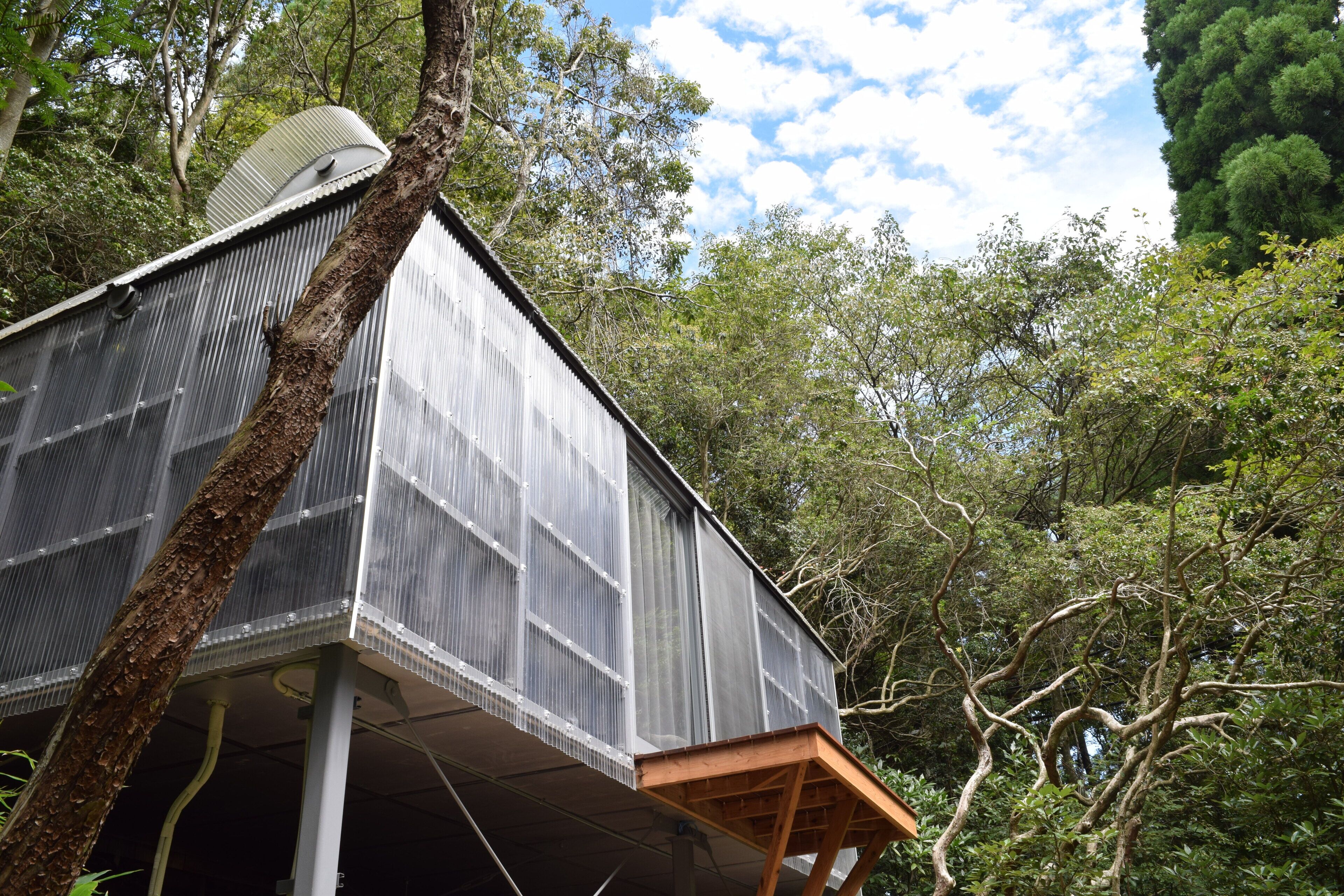 Une cabane perchée dans un arbre, avec une structure extérieure en métal ondulé, soutenue par des poutres en bois, située dans une zone boisée.