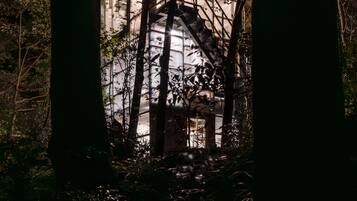 A house surrounded by trees at night.