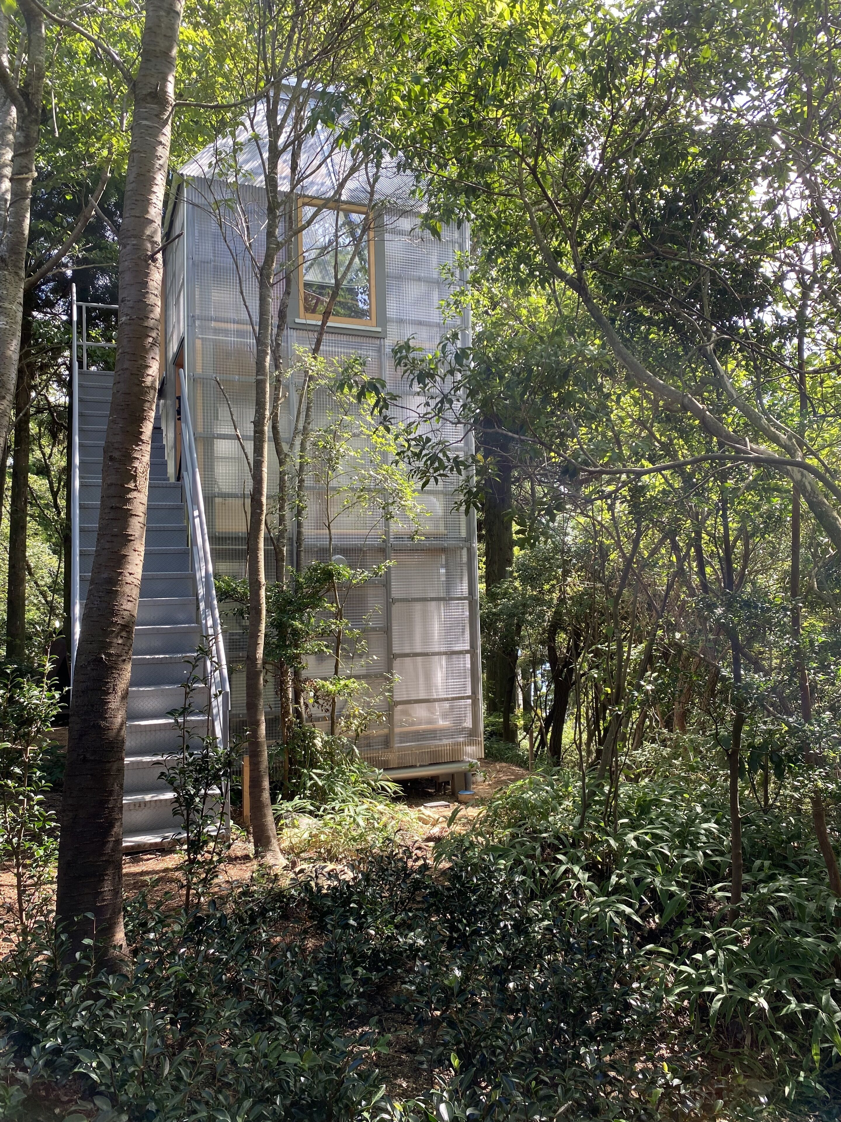 Une cabane perchée dans un arbre, accessible par un escalier en bois, et entourée d’un feuillage dense.