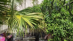 A courtyard with potted plants, a water feature, and a building with stone walls and windows. - Le Clos des Consuls (Tarascon)