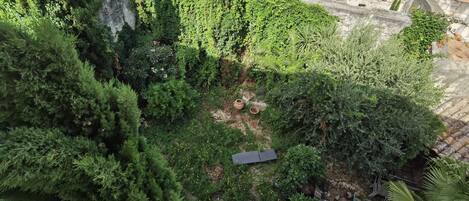 Pemandangan dari properti