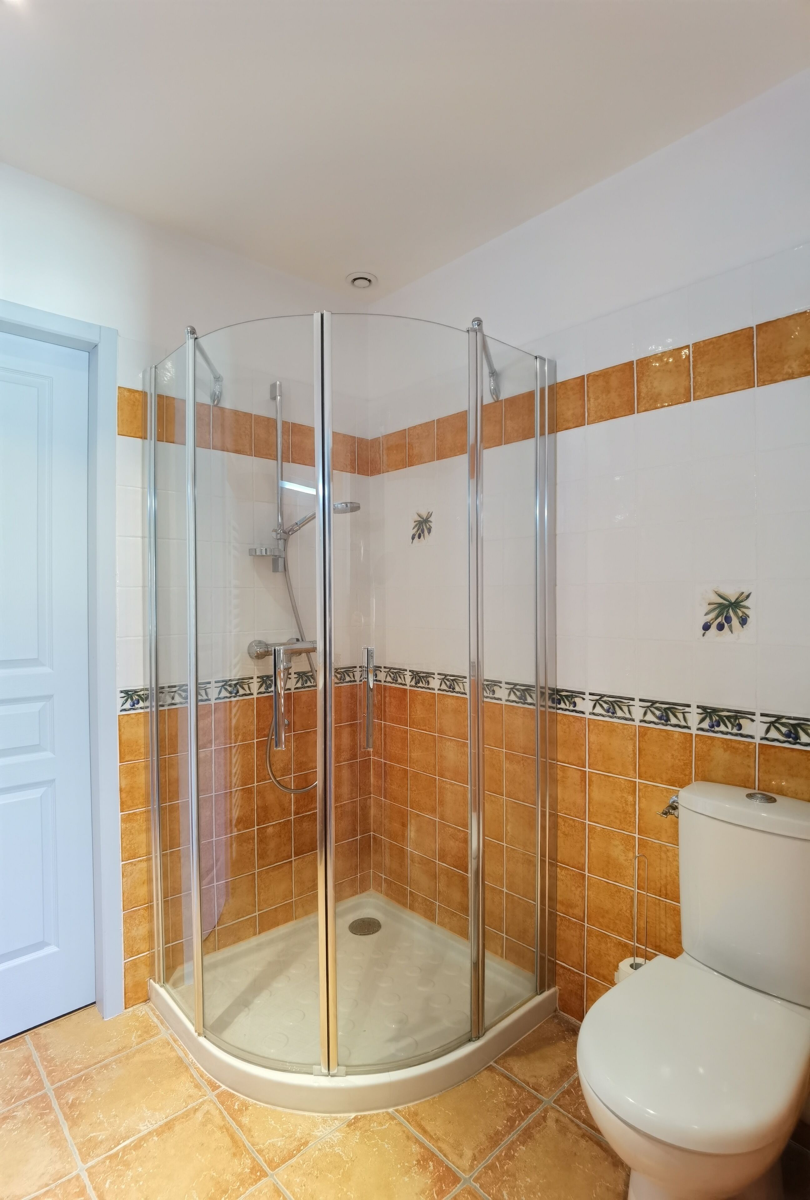 Une salle de bain avec une douche à parois de verre, des toilettes et des murs carrelés.