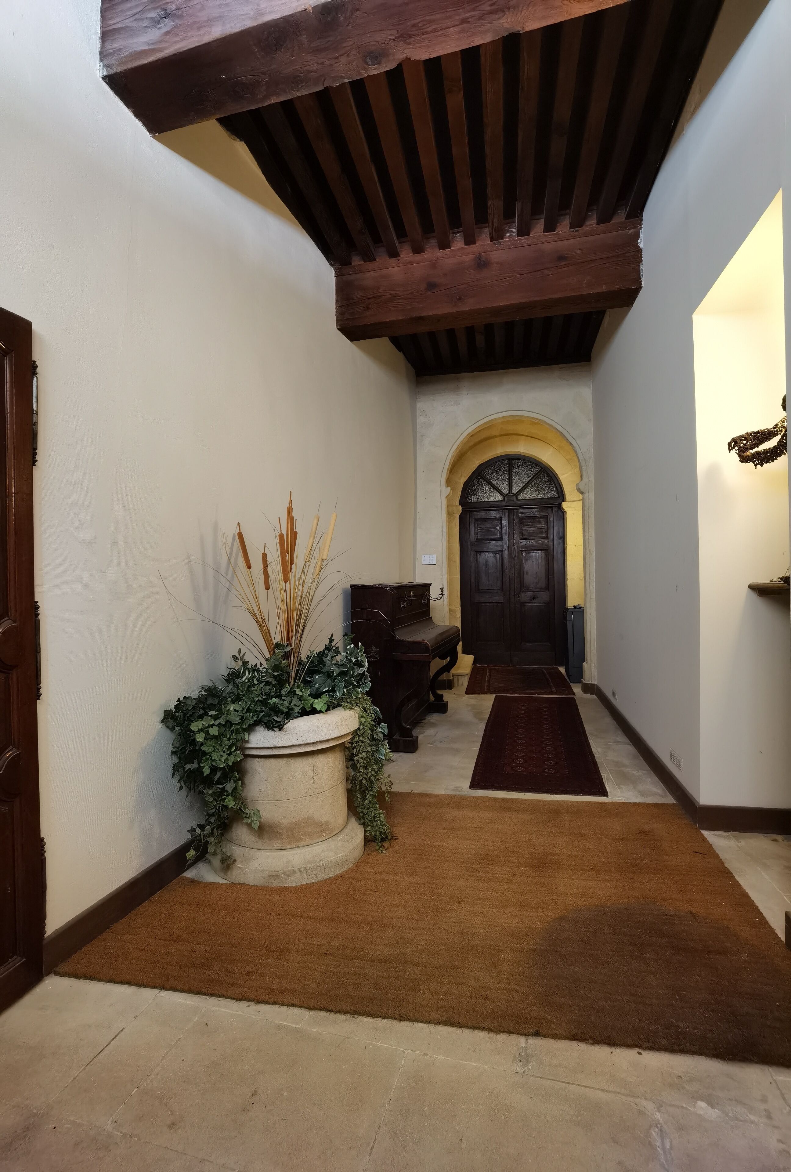 A hallway with a wooden ceiling, a stone floor, a brown rug, a potted plant, and a dark wooden door with an archway.
