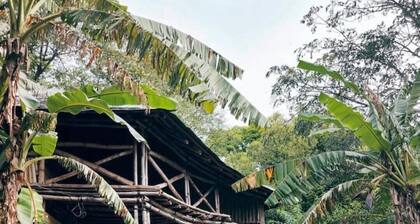 Riverside Cosy Mud Cottage at Bodhivan Farm Estate