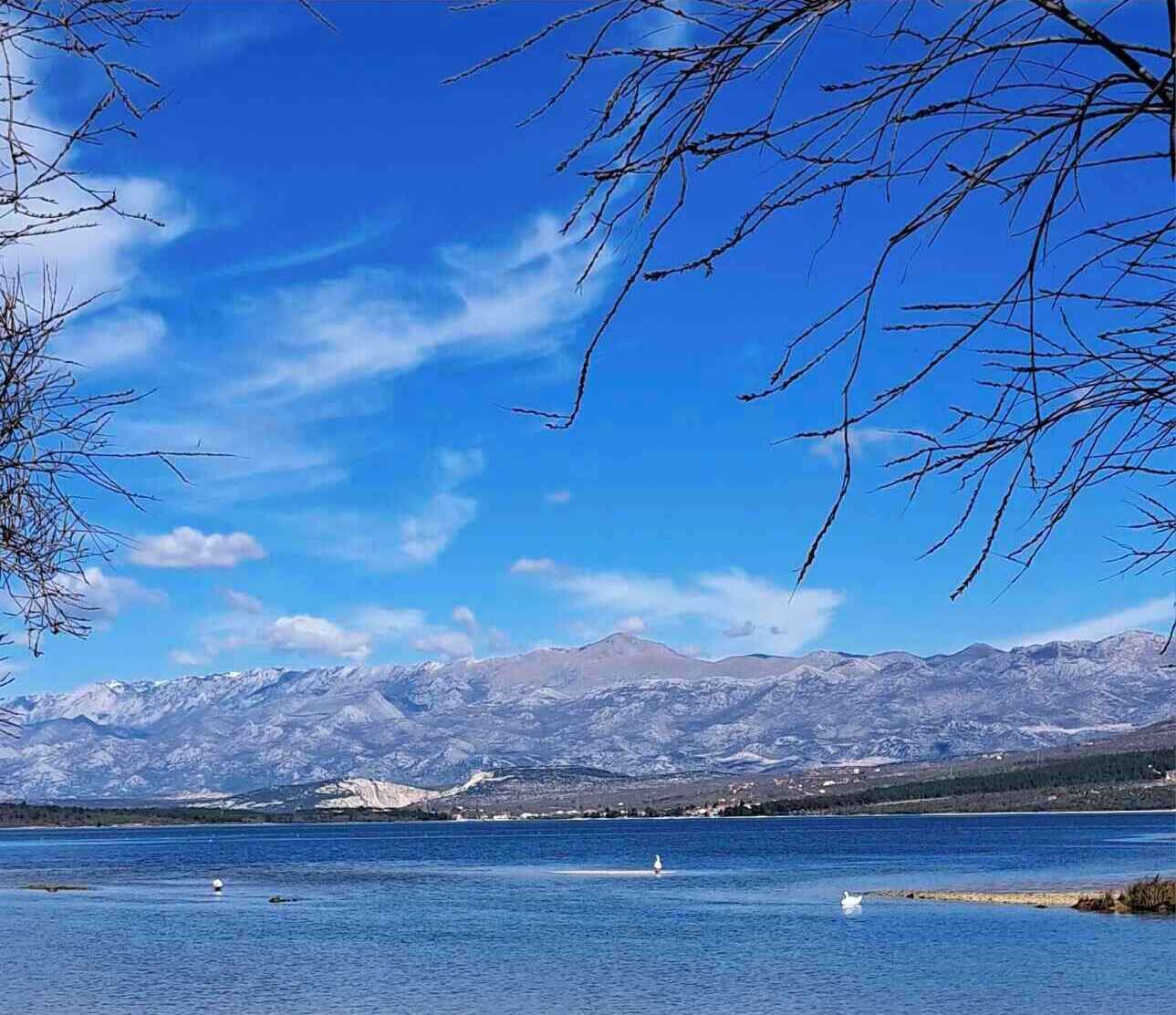 A lake with mountains in the background, a clear sky, and a swan on the water.
