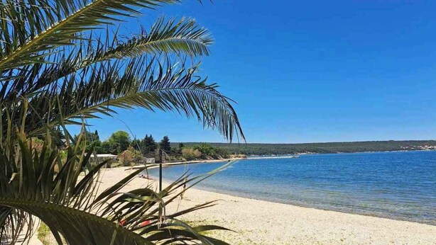 A beach with clear blue water, a sandy shore, and palm trees.