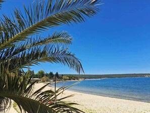 A beach with clear blue water, a sandy shore, and palm trees.