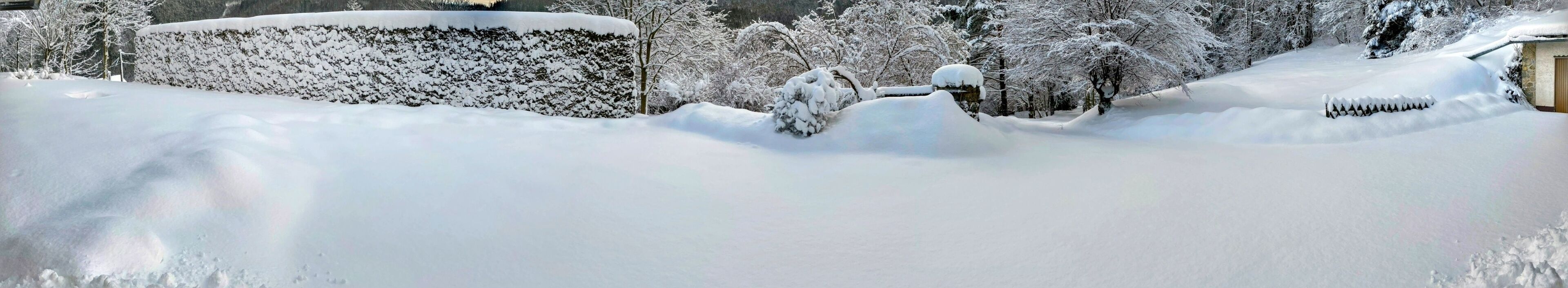 A snow-covered landscape with trees and a building.