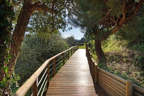 Property grounds - Villa 'Rosa Com Piscina E Jacuzzi' with Mountain View, Wi-Fi and Air Conditioning (Salir de Matos)