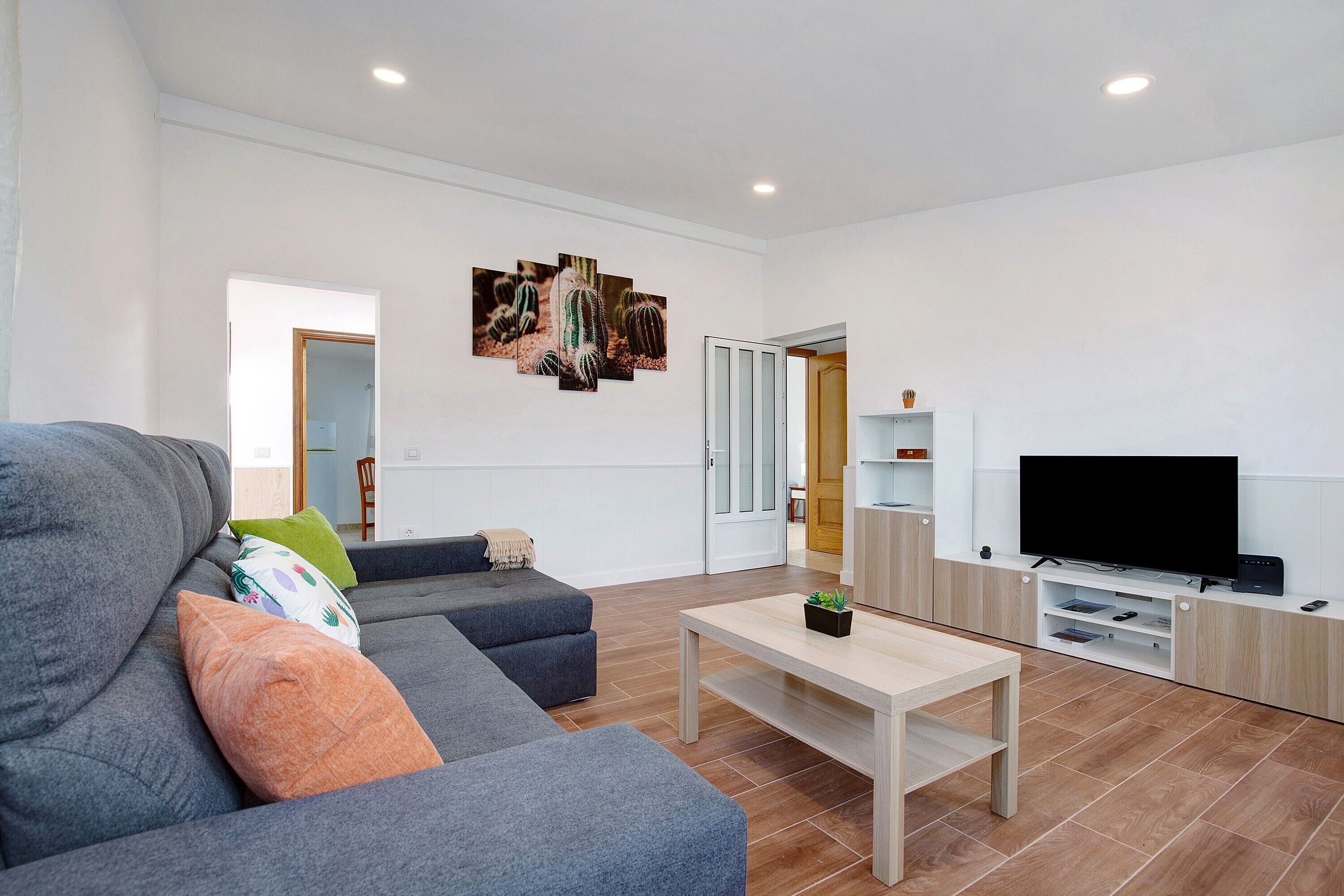 A living room with a grey sofa, a coffee table, a flat-screen TV, and a cactus plant.