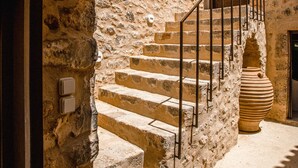 A stone staircase leading to a door, with a rustic stone wall and a large potted plant nearby. - Pyrgos Towers (West Mani)