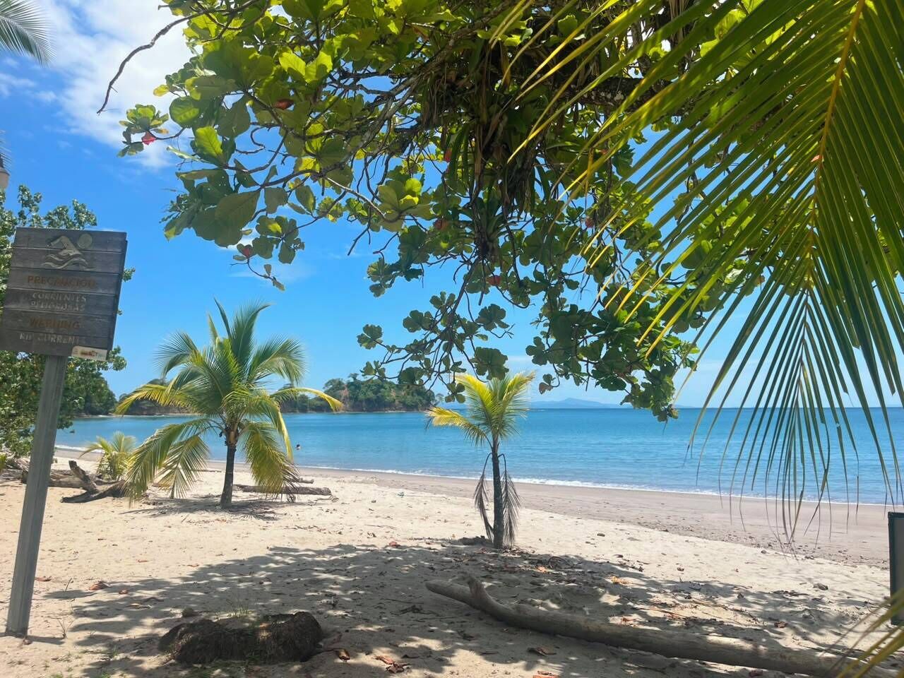Ein Strand mit Palmen und einem Wegweiser.