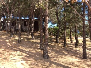 Enceinte de l’hébergement