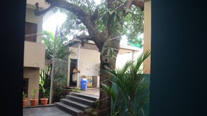 A building with a staircase leading to a door, surrounded by potted plants and a large tree. - Psygroover Rococco (Mandrem)