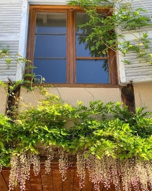 Detalle exterior