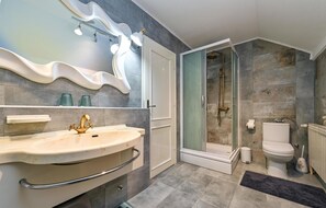 Hair dryer - Luxurious home in Vucetinec (Vucetinec)