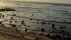 Ein Strand mit verstreuten Felsen und ruhigem Wasser.
