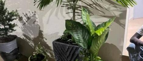 Overnattingsstedets uteområder